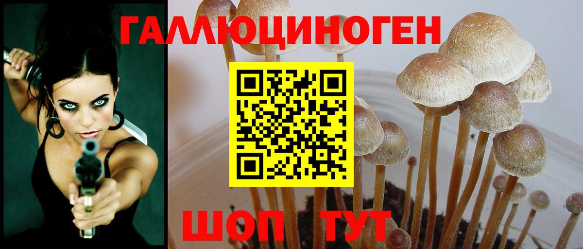 Псилоцибиновые грибы прущие грибы Конаково